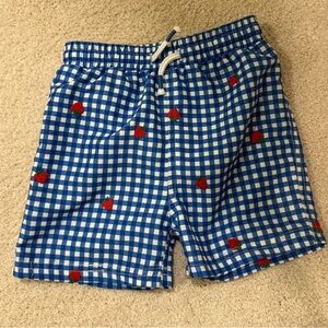 Baby Boden Blue Gingham Kids Swim Trunks